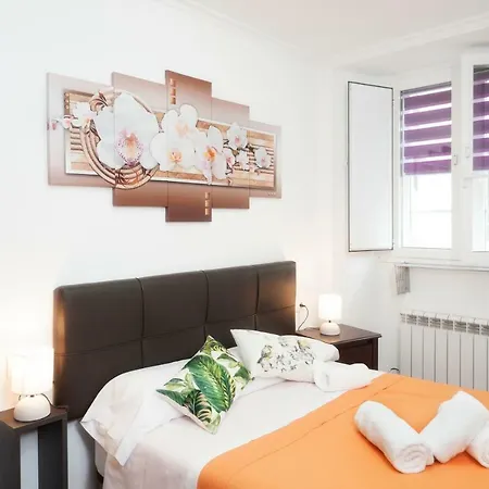 Algalia Catedral * Сантьяго-де-Компостела