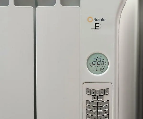 Algalia Catedral Daire *